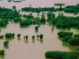 China Sand Lake 